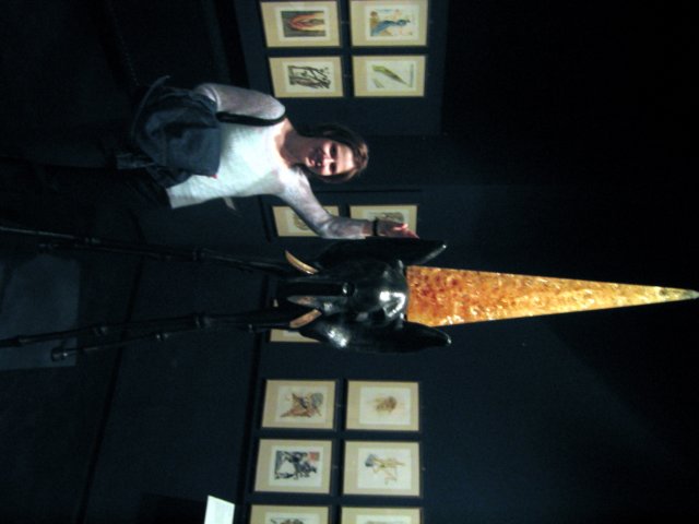 Photograph
