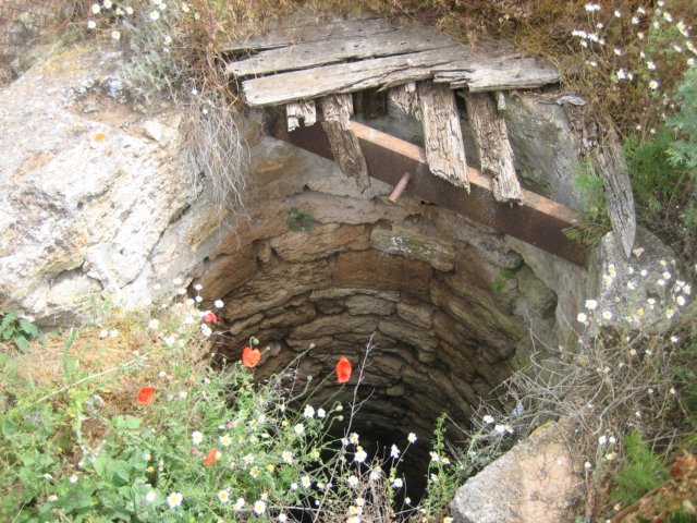 photo18.jpg