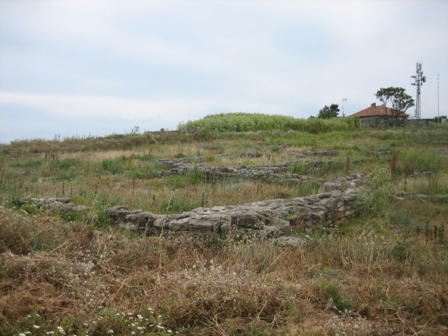 photo19.jpg