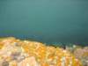 photo21_small.jpg