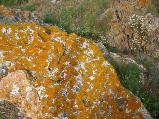photo22.jpg