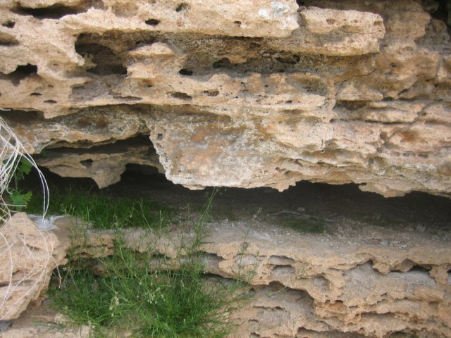 photo27.jpg