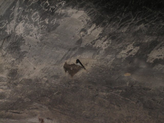 photo34.jpg