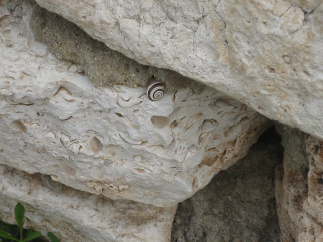 photo46.jpg