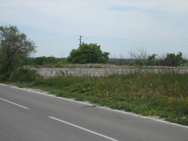 photo5.jpg
