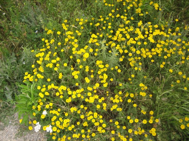 photo9.jpg