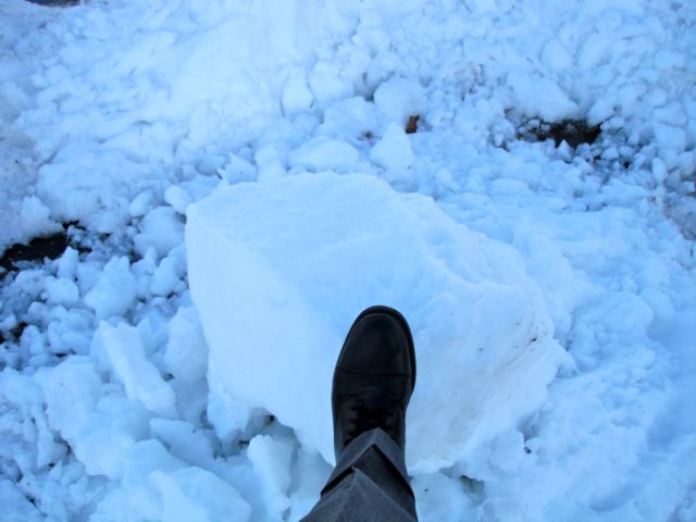 Ice, Ice, baby!  Its zamboni debris from the local ice rink.