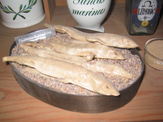 _apotheke5.jpg