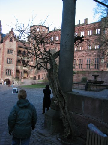 _schloss_courtyard1.jpg