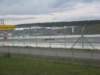Photo Number 6