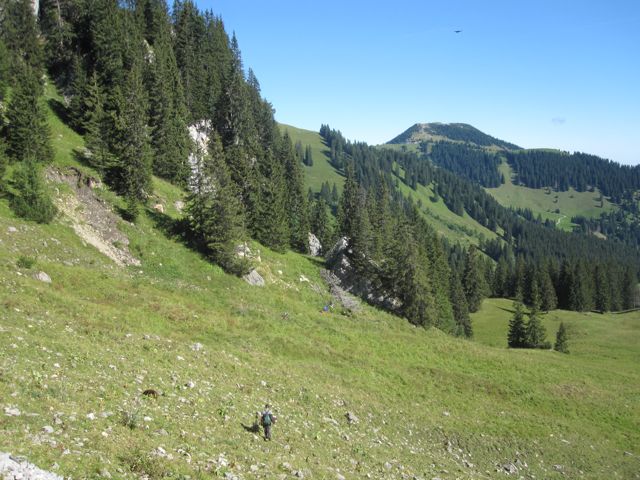 Walking back to the farmhouse.  Franz for scale.  He made hunting in the hills (Gebirgsjaeger) seem effortless.