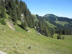 Walking back to the farmhouse.  Franz for scale.  He made hunting in the hills (Gebirgsjaeger) seem effortless.