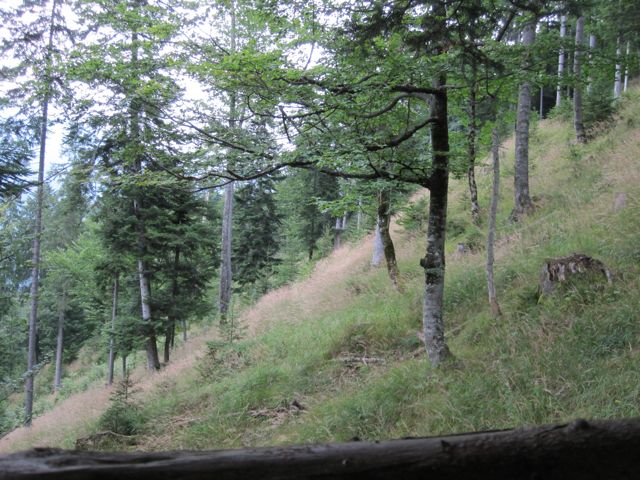 View out the stand window.