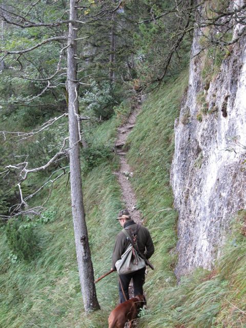 Look at the slope of the trail.