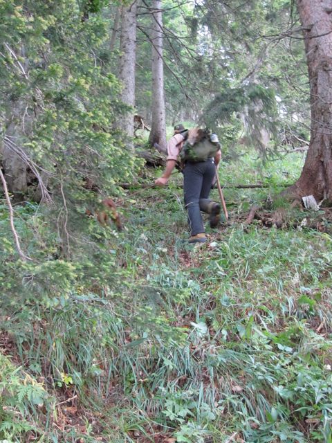 Packing out the deer
