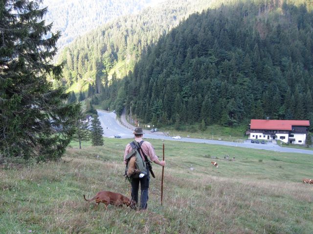 Walking back to the car