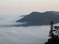 The Spitzingsee is covered in fog.