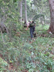 Packing out the deer