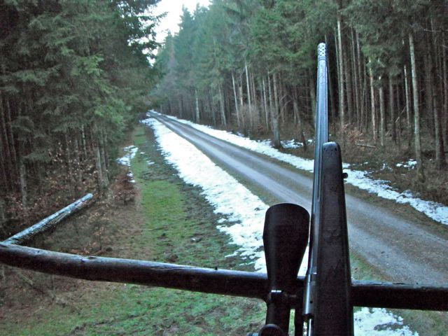 My view out the stand, along with the rifle I have come to call 