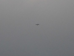 This plane flew over, sounding powerful