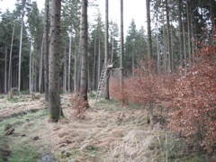 For the afternoon, we went out to sit at noon until dark.  This is my high-seat.  No roof, but it was a clear day...