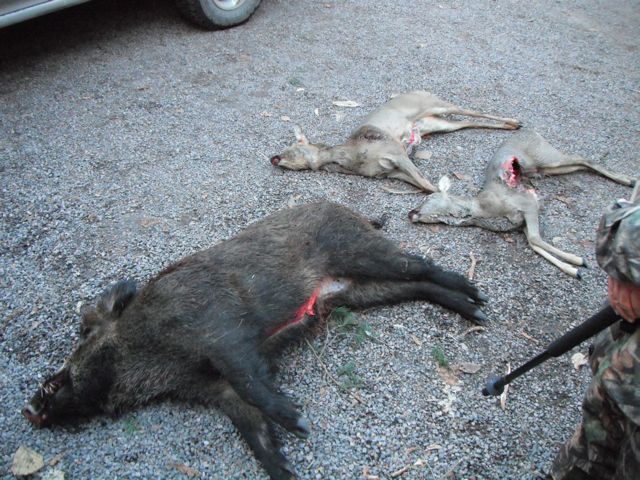 The streckanlage, or laying out of the harvest.  This is pathetic, only 3 animals between 60 hunters, but sometimes luck is just not with you.