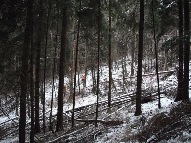 The whole point of a drive hunt is to get the animals moving, not to get them excited or running.  If they walk past the hunter, you get more opportunity to manage the population than sitting in a stand.  Otherwise they just sit still and don't move.  Even as it is, we saw little game.