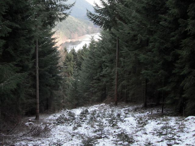 Walking back we had a gorgeous view of the Pfalz in winter