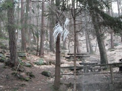 A water fountain sprays a tree causing icicles to form off the branches
