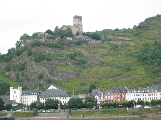 Photograph