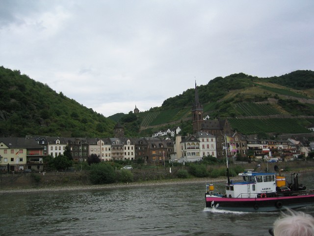 Photograph