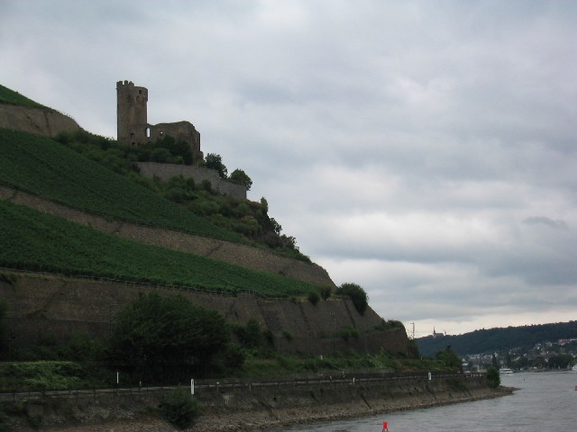 Photograph