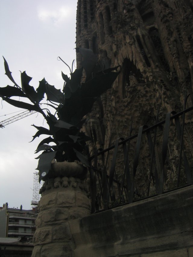 photo18.jpg