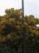 photo26_small.jpg