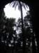photo5_small.jpg