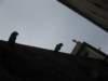 photo7_small.jpg