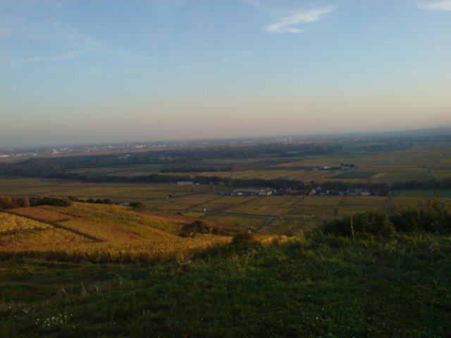 photo53.jpg