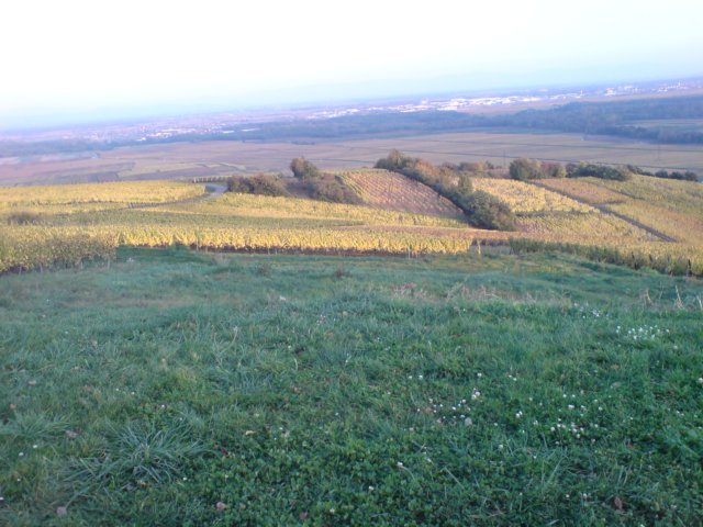 photo54.jpg