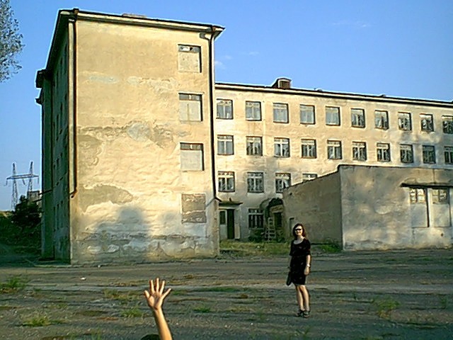 Photograph
