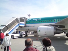 Cattle Call Aer Lingus