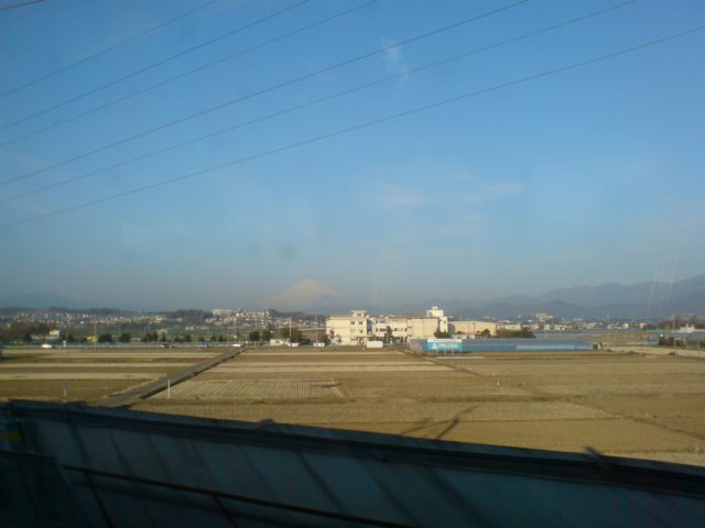 photo10.jpg