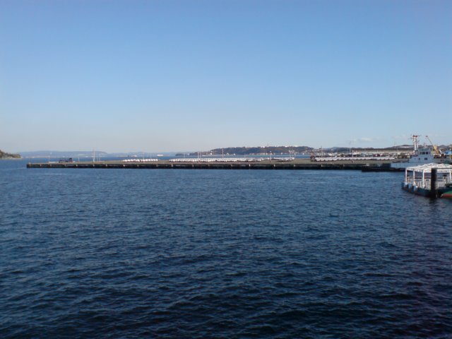 photo42.jpg