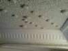 photo70_small.jpg