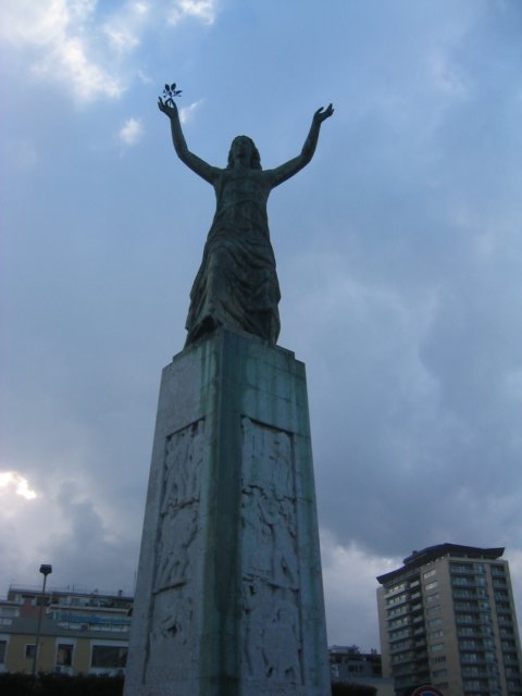 Photograph