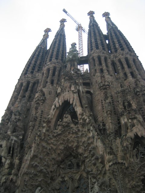 Photograph