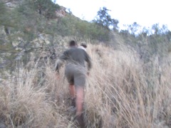 Martin, Matt and I head up the hill to find the baboon. We found a good blood trail, but ran out of light before we found the carcass.