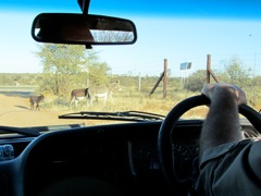 Free-range donkey, the other, other, other red meat.