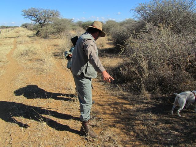 Corney and Martin look for tracks of the perpetrators. They then tip this information to the Police Anti-Poaching team.