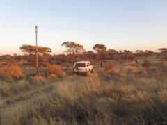 The police Anti-Poaching unit returned the next day to look for the poachers.