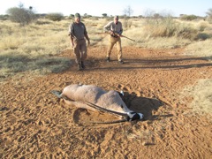Dad shot a nice Oryx.